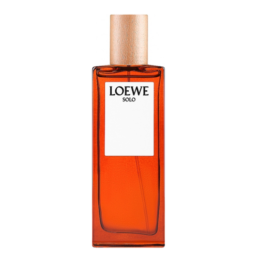 Loewe Solo 100ml